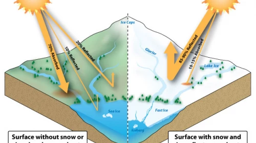 Più c'è neve e più fa freddo. Cos'è l'effetto albedo?